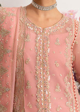 Reverie By Gulaal Embroidered Chiffon 3 Piece Unstitched Suit GL25R D-06 CORALYN